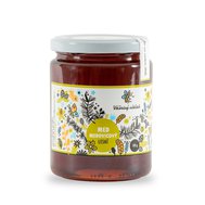 Med medovicový lesní 700g - Vášnivý včelař